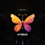 New Hybrid Assinar IPTV