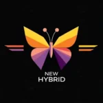 New Hybrid P2P Assinatura Mensal